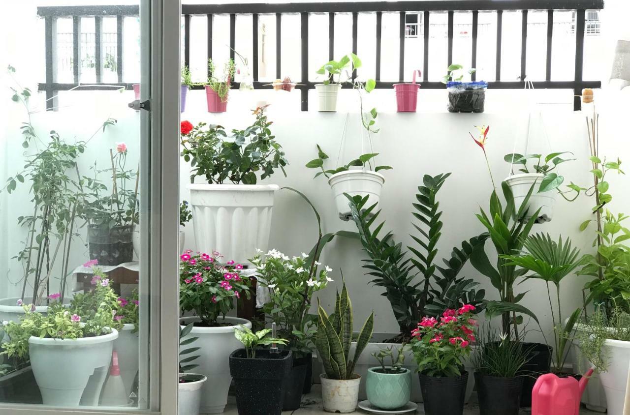 Casa De Luna * Ho Chi Minh City